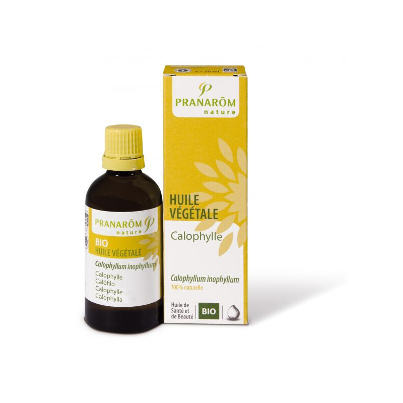 Huile végétale de Calophylle vierge Bio - 50ml