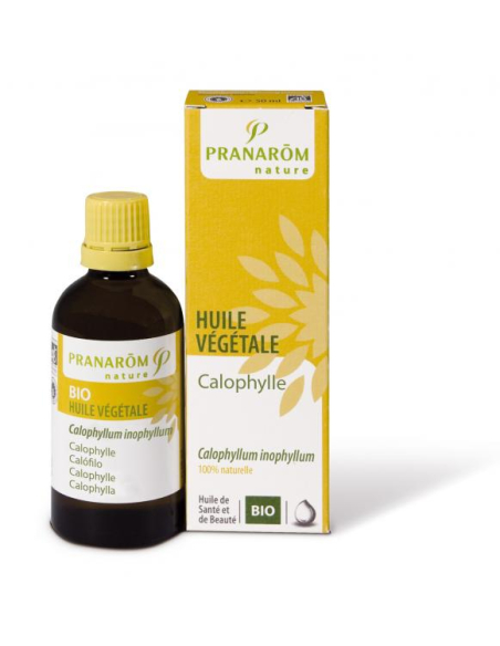 Huile végétale de Calophylle vierge Bio - 50ml