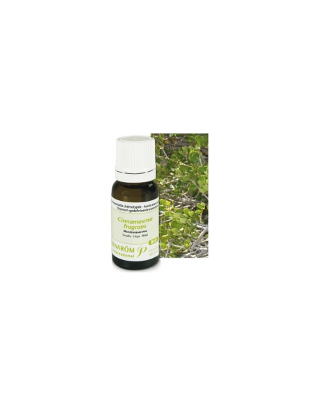 Huile essentielle de Mandravasarotra - 10 ml