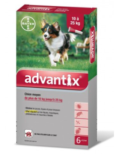 Advantix Chien moyen...
