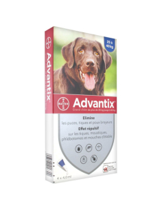 Advantix Grand Chien...