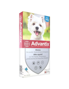 Advantix Petit Chien...
