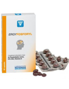 Ergy-Fosforyl - 60 capsules