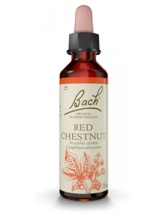 Fleurs de Bach Original 25...