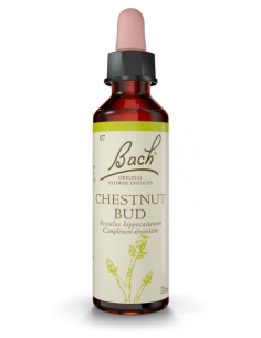 Fleurs de Bach Original 35...