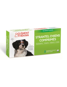 Clément Thékan STRANTEL...