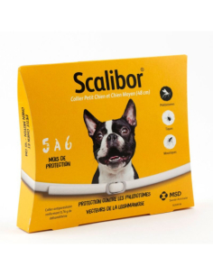 Collier Petit & Moyen Chien...