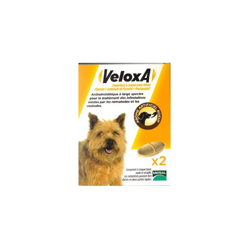 Veloxa Sécables Pour Chiens Arôme Boeuf - 4 Comprimés 