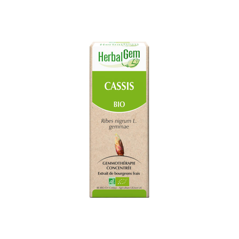 HerbalGem Bio Cassis - 30 ml