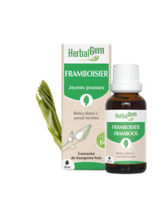 HerbalGem Bio Framboisier -...