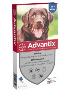 Bayer Advantix Grand Chien...