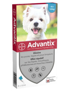 Bayer Advantix Petit Chien...