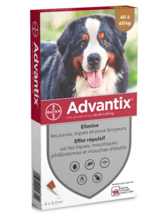 Bayer Advantix Grand Chien...