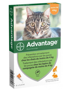 Bayer Advantage 40 Solution...
