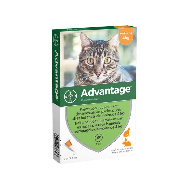 Bayer Advantage 40 Solution Antipuce Pour Chat et Lapin de Moins de 4kg - 6 Pipettes 