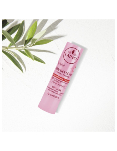 Soin des lèvres stick...