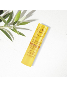 Soin des lèvres stick...