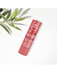 Laino Soin des lèvres stick...