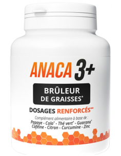 Anaca3 + Brûleurs de...