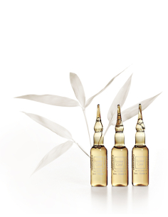 LEONOR GREYL Complexe...