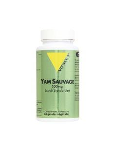VITALL+ YAM 500MG 60CGEL