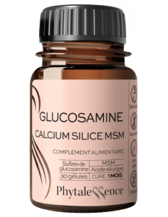 Phytalessence Glucosamine...